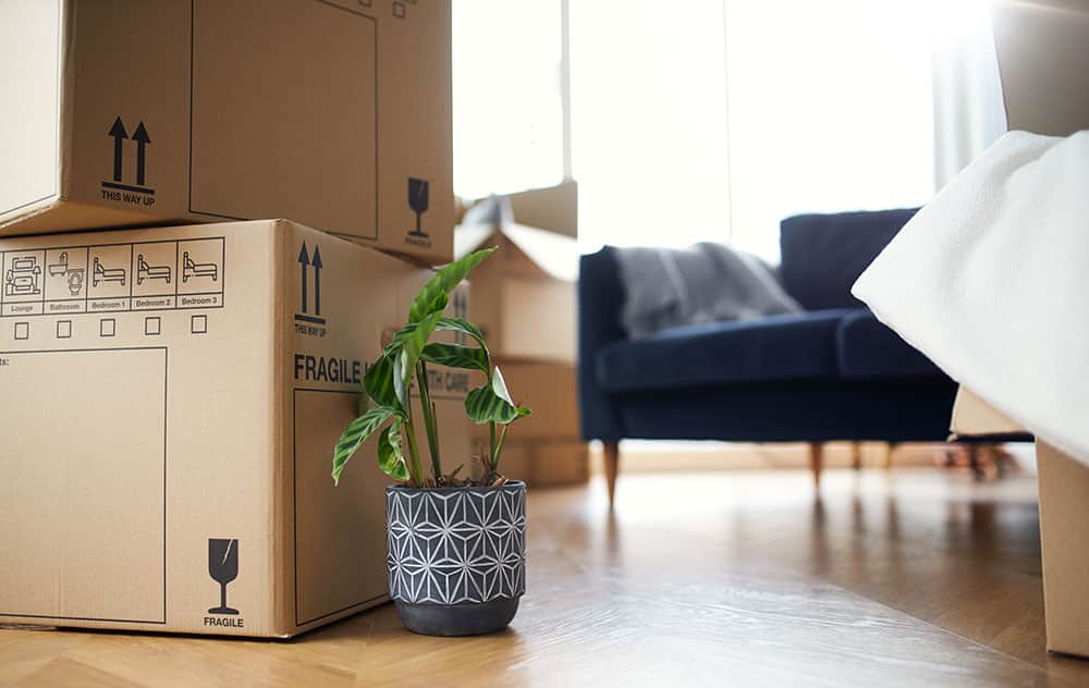 moving-day